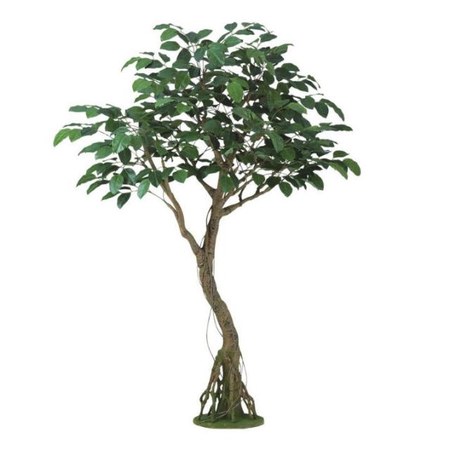 人工観葉植物 ベンガルボダイジュ コアッド 200 高さ200cm （P12-99366) （代引き不可） インテリアグリーン フェイクグリーン