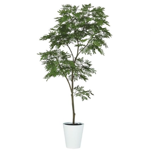 人工観葉植物 エバーフレッシュ FST 180 ポット付き 高さ180cm （P74-99379) （代引き不可） インテリアグリーン フェイクグリーンの通販は