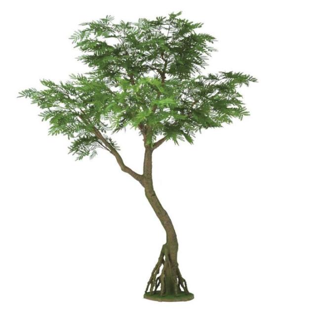 人工観葉植物 エバーフレッシュ コアッド 200 高さ200cm （P16-99386) （代引き不可） インテリアグリーン フェイクグリーン