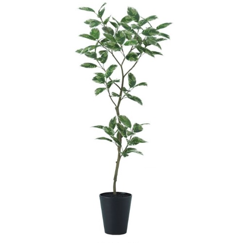 人工観葉植物 デコラトリカラー FST 180 ポット付き 高さ180cm （P50-99390) （代引き不可） インテリアグリーン フェイクグリーンの通販は