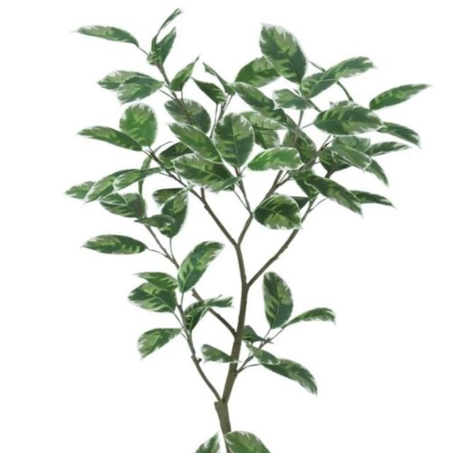 人工観葉植物 デコラトリカラー FST 180 ポット付き 高さ180cm （P50-99390) （代引き不可） インテリアグリーン フェイクグリーン_1