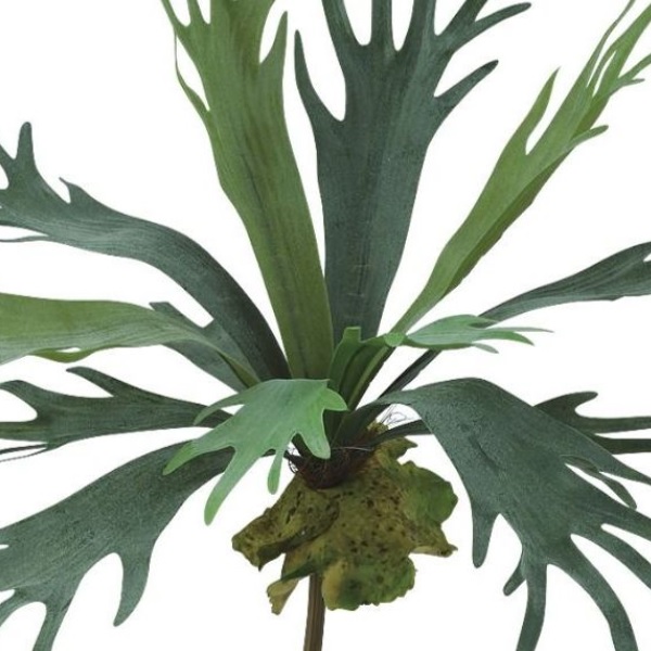 人工観葉植物 コウモリランブッシュ 長さ35cm （P141-99423) （代引き不可） インテリアグリーン フェイクグリーン_1