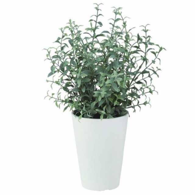 人工観葉植物 ティーリーフ ポット付き 高さ35cm （P109-99464) （代引き不可） インテリアグリーン フェイクグリーンの通販は