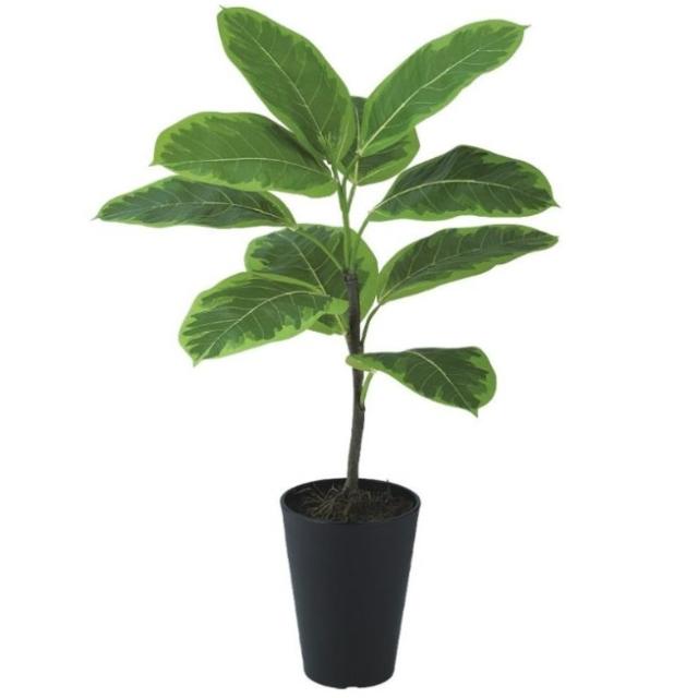 人工観葉植物 アルテシマ ルーツポット ポット付き 高さ55cm （P110-99473) （代引き不可） インテリアグリーン フェイクグリーンの通販は 15,550円