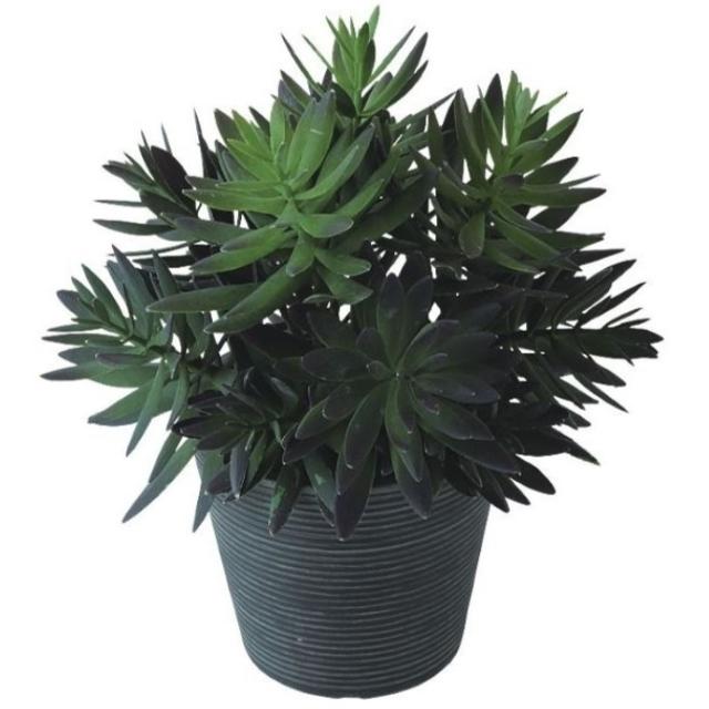 人工観葉植物 サッカレント ポット ポット付き 高さ28cm （P114-99513) （代引き不可） インテリアグリーン フェイクグリーン