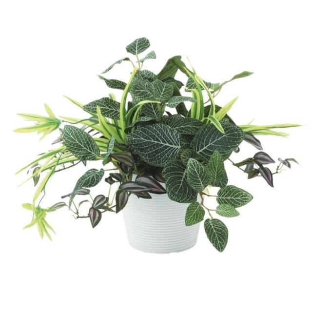 人工観葉植物 フィットニア MIX ポット付き 高さ25cm （P103-99516) （代引き不可） インテリアグリーン フェイクグリーン