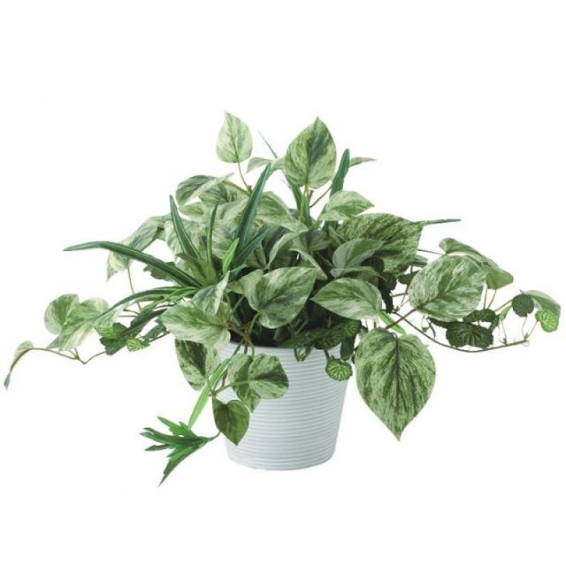 人工観葉植物 マーブルポトス MIX ポット付き 高さ25cm （P103-99518) （代引き不可） インテリアグリーン フェイクグリーン