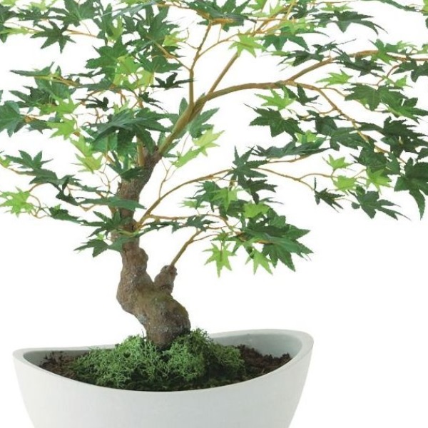 人工観葉植物 ヤマモミジ ボウル GREEN ポット付き 高さ45cm （P121-99519) （代引き不可） インテリアグリーン フェイクグリーン_1