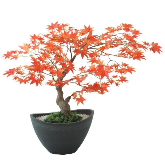 人工観葉植物 ヤマモミジ ボウル RED ポット付き 高さ45cm （P121-99520) （代引き不可） インテリアグリーン フェイクグリーン
