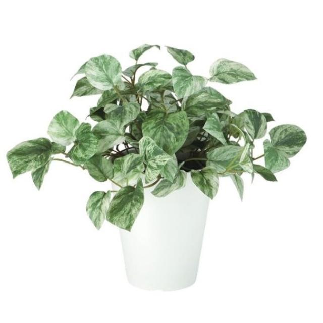 人工観葉植物 マーブルポトス ポット付き 高さ30cm （P103-99521) （代引き不可） インテリアグリーン フェイクグリーン