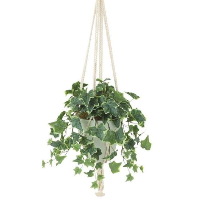 人工観葉植物 グレイシアアイビー ハンキング ポット付き 高さ25×長さ35（総全長約75）cm （P119-99535) （代引き不可） インテリアグリーン フェイクグリーン