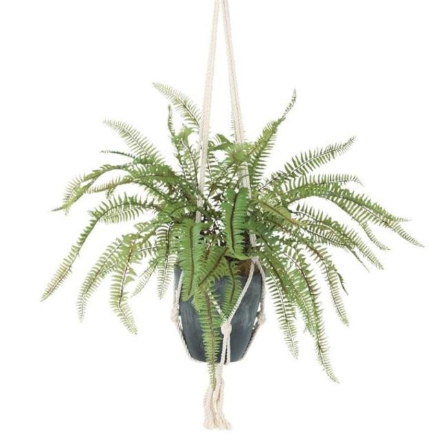 専用です。 デイトナ プレミアムゾーン オイルフィラーキャップ ゴールド