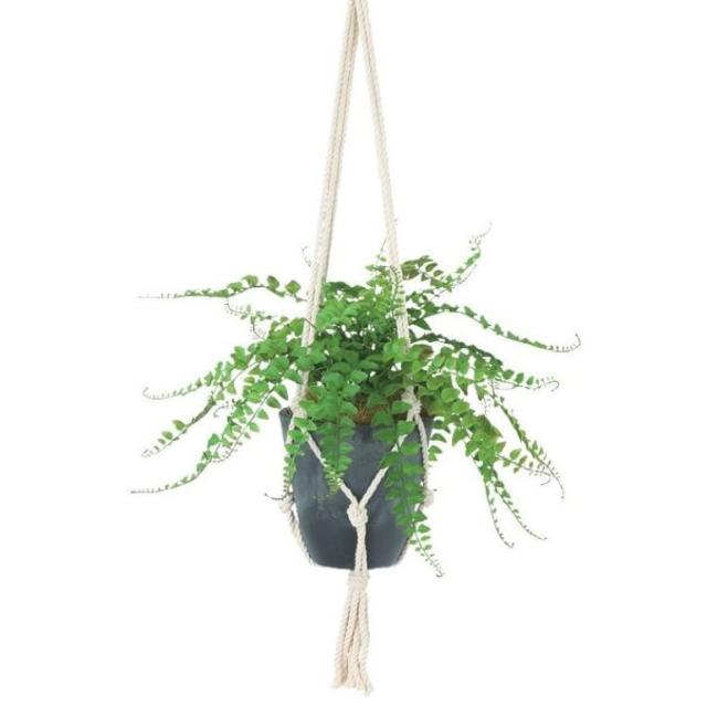 人工観葉植物 ワイルドグラスファン ハンキング ポット付き 高さ25（総全長約75）cm （P118-99540) （代引き不可） インテリアグリーン フェイクグリーン