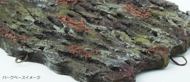 人工観葉植物 チランジア デコ ウォールハンキング 高さ40cm （P23-99559) （代引き不可） インテリアグリーン フェイクグリーン_3