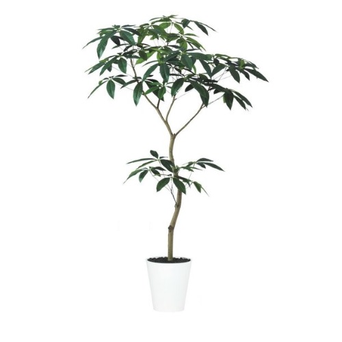 人工観葉植物 パキラ FST 150 ポット付き 高さ150cm （P52-99643) （代引き不可） インテリアグリーン フェイクグリーンの通販は