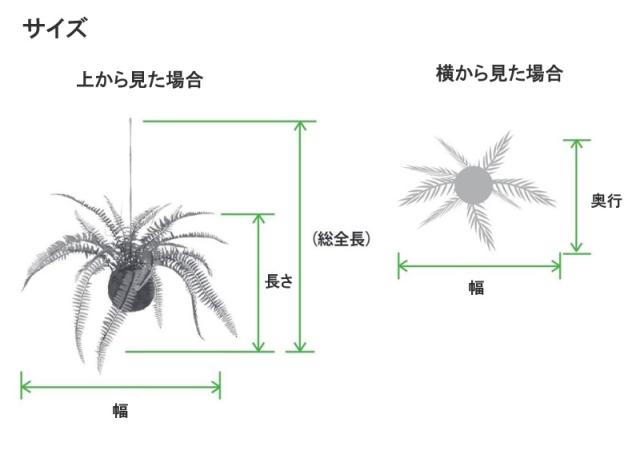 人工観葉植物 ミックスファン モスボール ハンキング 長さ22cm （P21