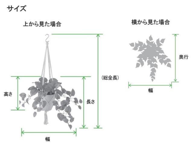 人工観葉植物 グレイシアアイビー ハンキング ポット付き 高さ25×長さ35（総全長約75）cm （P119-99535) （代引き不可） インテリアグリーン フェイクグリーン_1