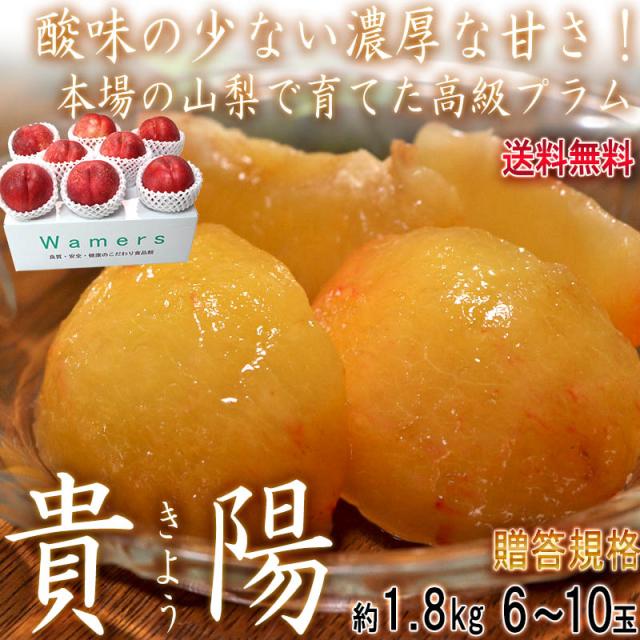 貴陽 きよう 高級プラム 約1 8kg 6 10玉 山梨県産 贈答規格 大玉中心 実測糖度17度以上 お中元に最適な味わい抜群のスモモの通販はau Pay マーケット 産地から玄関へ