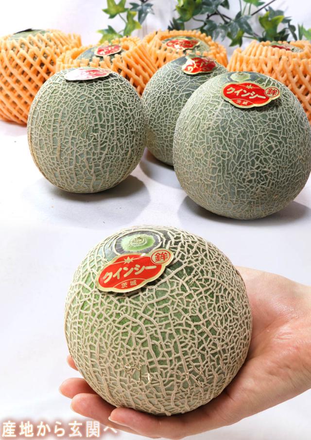 熊本産 赤肉メロン（クインシー）5玉 楽天市場】熊本産 クインシー