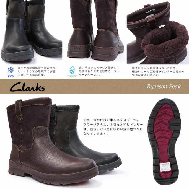 clarks ryerson peak