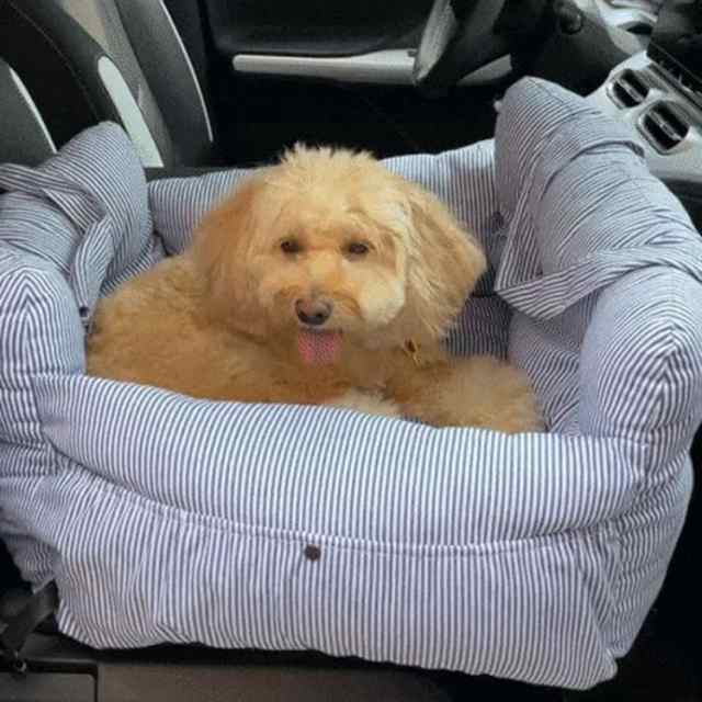 ドライブベッド 犬用 ドライブボックス ペット 車用 ドライブシート キャリーバッグ 助手席 後部座席 組立簡単 固定ベルト付き 飛び出し防止 ふわふわ 洗える 滑り止め ドライブバッグ ペットベッド ペットソファ お出かけ 通院 JITIFAの通販は