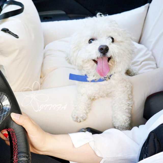 犬 車用 ドライブボックス ドライブベッド ペットベッド 車用ペットシート ペットキャリーバッグ 洗える 飛び出し防止リード付き 持ち運び 小型犬 猫用 柴犬用 お出かけ 滑り止め 酔わない 車載用 カー用品 柴犬 防水 アウトドア JITIFAの通販は