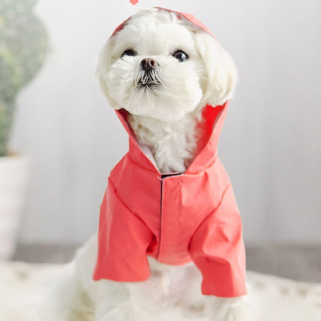 犬用 レインコート 雨具 ドッグウェア ワンちゃん 服 フード付き カッパ 可愛い マジックテープ 調整ゴム付き リード穴有り 洗える 梅雨対策 脱着簡単 通気 軽い 快適 防水 防風 散歩 両足袖 ポリエステル 小型犬 中型犬 大型犬 JITIFAの通販は