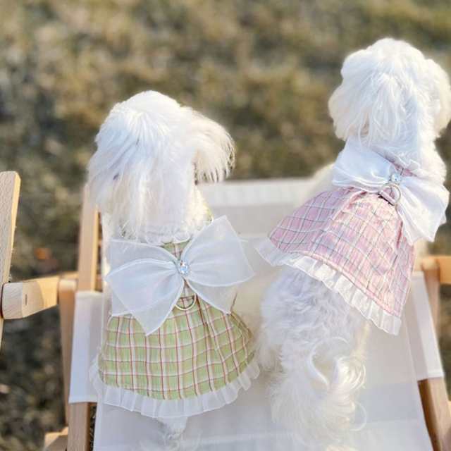 犬 猫 ワンピース スカート ドレス 春夏 犬服 猫服 ペット服 ドッグウェア 可愛い 中小型犬 春夏犬服ワンピース可愛い 夏 涼しい 夏服 犬