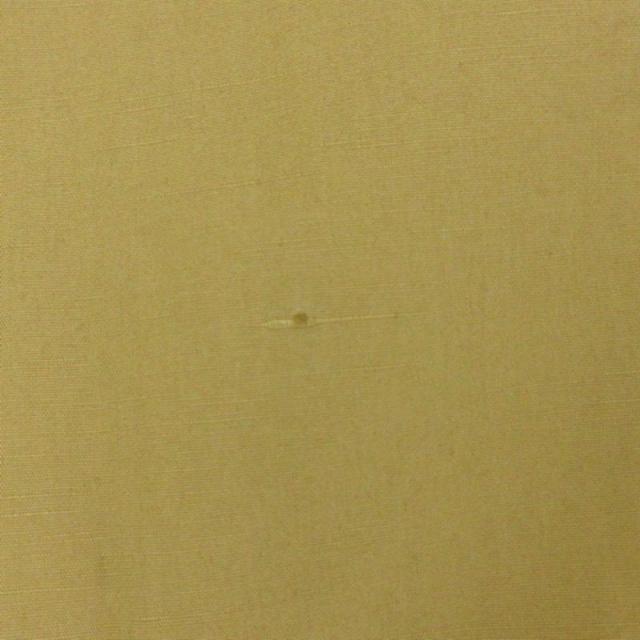 中古】ジャーナルスタンダード 25SS コットンリネン ワイドステン