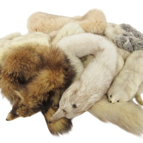 【中古】8点セット フォックス ミンク ラビット ファー ティペット 毛皮 マフラー 顔つき まとめ IBO60 レディースの通販は 5,415円