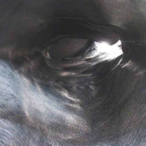 中古】isabel イザベル ロングブーツ フラット ステッチ 38 ブラック