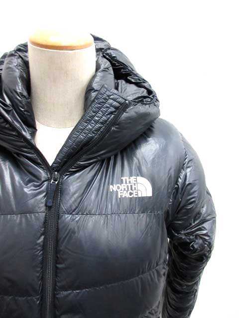 alpine nuptse hoodie