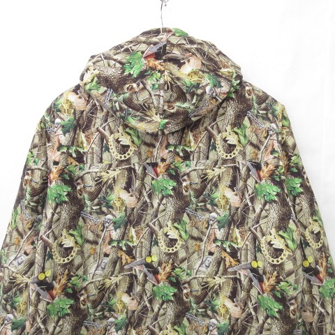 Lepanthes caloura レパンテスエクアドル雲霧林ミニチュアラン原種 Lepanthes caloura レパンテスエクアドル雲霧林ミニチュアラン原種