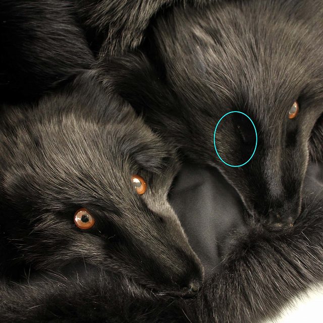 中古】サガフォックス SAGA FOX 金サガロイヤル 毛皮 ベスト