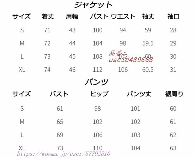 長袖 トップス パンツ スキニーパンツ 2点セット 2色 大きいサイズ ...