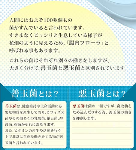 シードコムス Seedcoms 菌のチカラ 乳酸菌 ビフィズス菌 納豆菌 紅麹菌 酵母菌 発酵はちみつ オリゴ糖 約3ヶ月分 90粒の通販はau Pay マーケット 九州流通プラザwowma 店