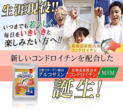 シードコムス Seedcoms Ii型コラーゲン配合グルコサミン プロテオグリカン コンドロイチン 鮭由来 Msm フィッシュコラーゲン 約の通販はau Pay マーケット 九州流通プラザwowma 店