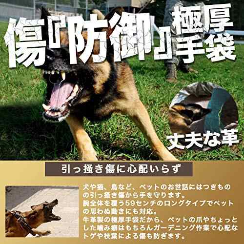 和田工業 ペットグローブ 牛革 厚手 保護手袋 犬 猫 爬虫類 ペット 噛みつき 引っかき 手袋 園芸 キャンプ 耐摩耗性 耐熱性 ロングの通販はau Pay マーケット よろずやウェブマート