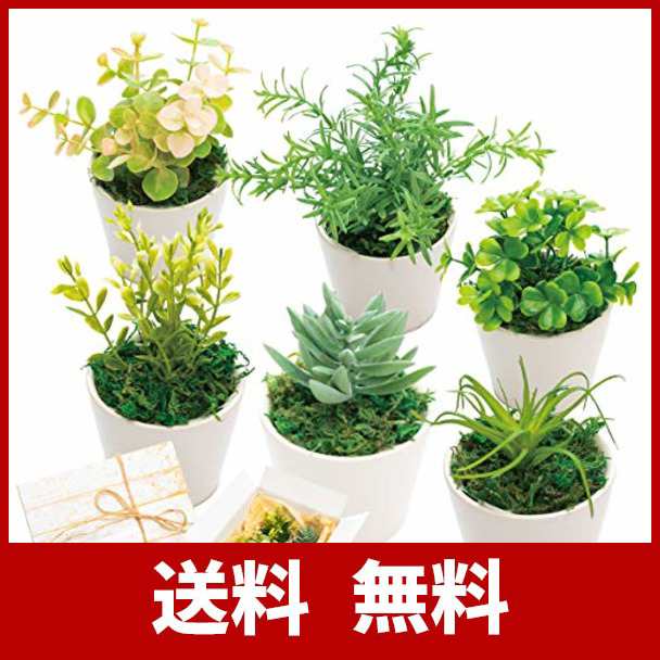 観葉植物 人工 フェイク ミニ おしゃれ かわいい セット 卓上 室内用 ミニサイズの通販はau Pay マーケット よろずやウェブマート