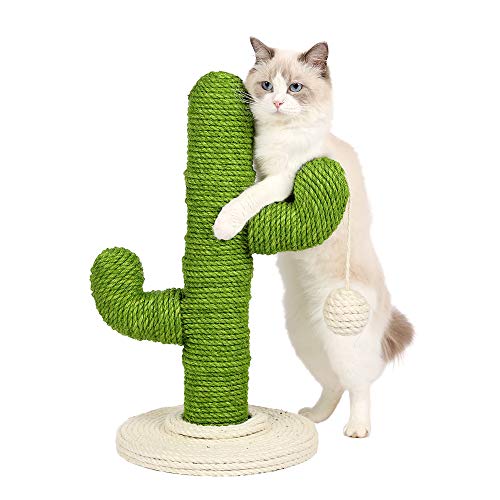 猫タワー 猫用 爪とぎサボテン型 ネコポール 麻縄 手巻き 可愛い つめとぎ 猫の木 多頭飼い 組立簡単 子猫から大型猫 58cm 緑 の通販はau Pay マーケット よろずやウェブマート