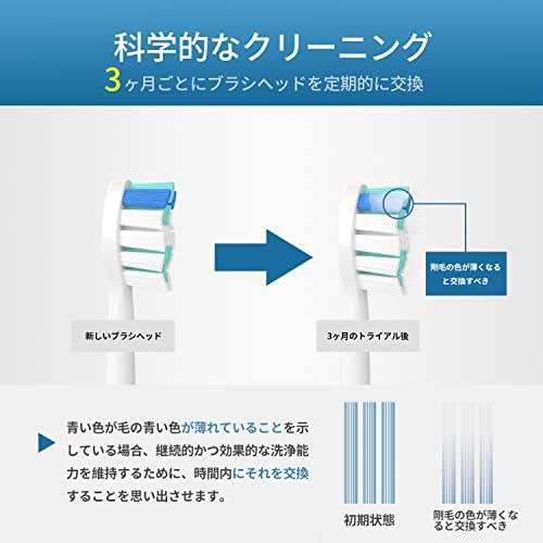 電動歯ブラシ 替えブラシ 対応 フィリップス ソニッケアー 替えブラシ