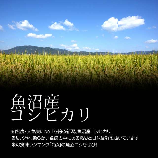 米　PAY　国内産　送料無料　au　お米　人気　新潟米　ザ・モール　PAY　5kg　新潟　ブランド米　令和5年産　無洗米　マーケット　この通販はau　魚沼産コシヒカリ　新潟県産　おいしい　新米　最高級銘柄　マーケット－通販サイト