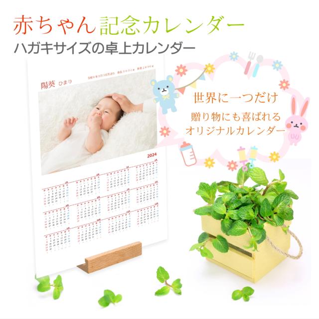 赤ちゃん 年間 カレンダー 2024 / 卓上 写真入 はがきサイズ ラミネート / 出産報告 お祝い返し 出産祝い 1歳 2歳 3歳 男 女 誕生日