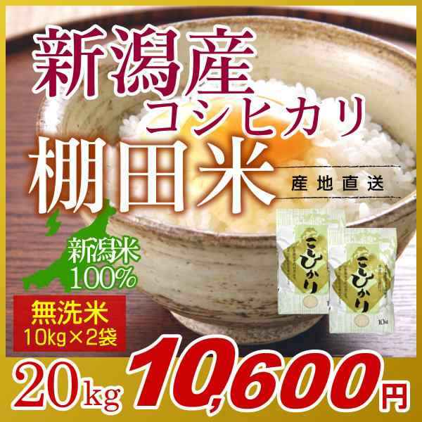 米　お米　新潟県産　雪解けの水　(10kg×2袋)　山麓米　棚田　新潟産コシヒカリ　奥胎内　新米　令和5年産　新潟　無洗米　高級銘柄米　棚田米　20kg　送料無料-