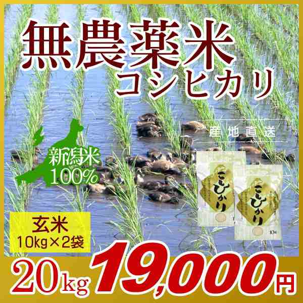 お米 20kg 玄米 農薬不使用米 希少米コシヒカリ (10kg×2袋) 令和5年産