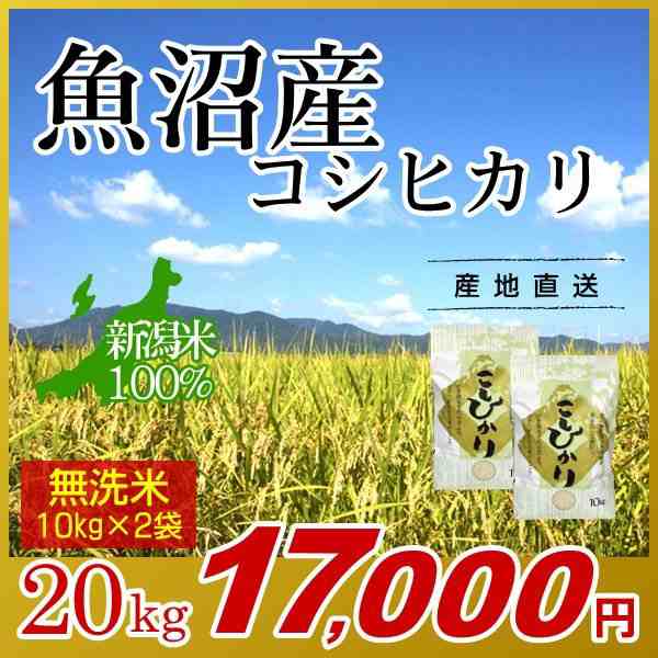 新潟米　令和4年産　新潟　米　ザ・モール　この通販はau　お米　人気　PAY　PAY　おいしい　マーケット　au　ブランド米　20kg　国内産　(10kg×2袋)　新潟県産　無洗米　マーケット－通販サイト　魚沼産コシヒカリ　最高級銘柄