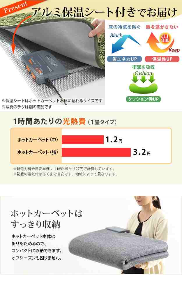 木目調 ホットカーペット 1.5畳用 本体+カバー【防水 抗菌 防カビ 日本
