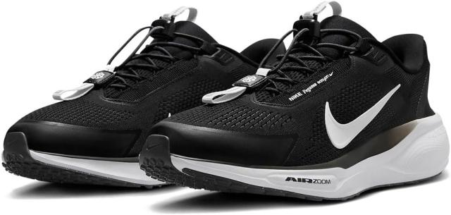 [ナイキ] ペガサス イージーオン [Pegasus EasyOn] ブラック/アンスラサイト/フォトンダスト/ホワイト FQ7837-002