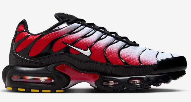ナイキ] エア マックス プラス [AIR MAX PLUS] ピュアプラチナム