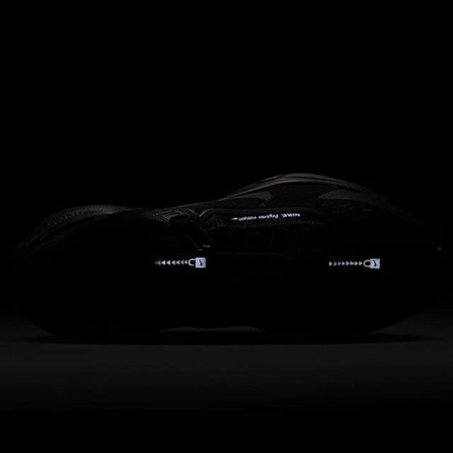 ナイキ] ペガサス イージーオン [W Pegasus EasyOn] ブラック/ホワイト